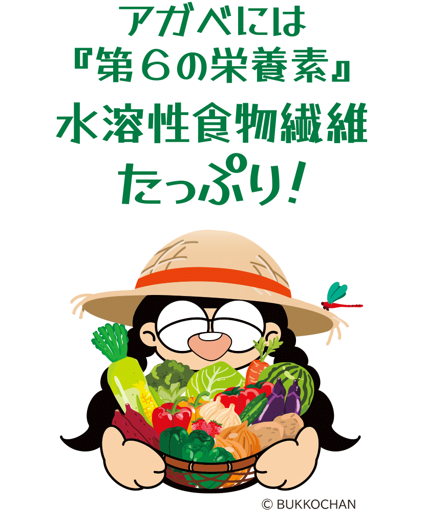 アガベには『第6の栄養素』水溶性食物繊維たっぷり!