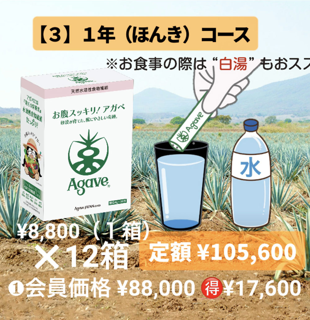 1年 ほんきコース