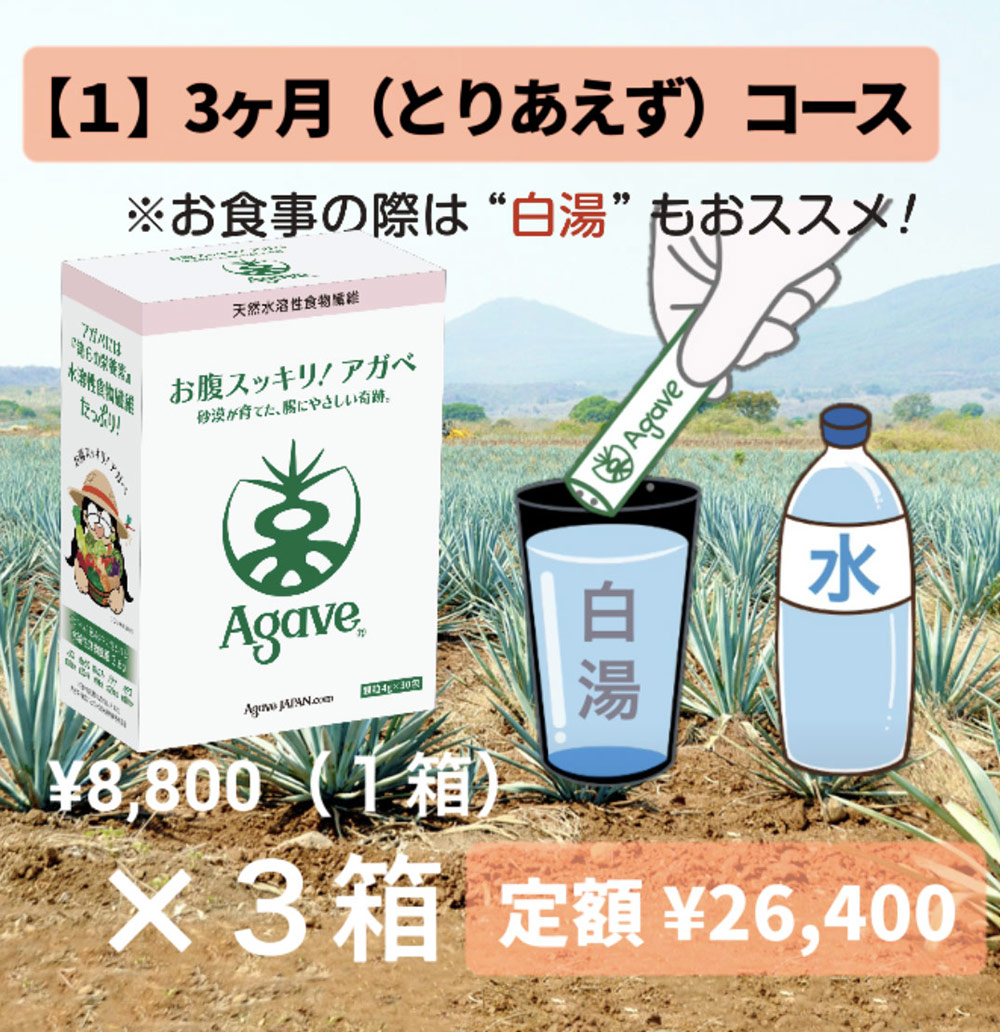 3か月 とりあえずコース